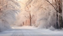 <b>寒潮会带来什么有益影响 寒潮带来的晦气影响有</b>