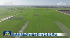 因地制宜做好农田冬管 夯实丰收根本