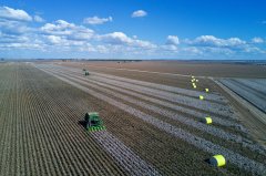 新疆棉花“科技含量”有多高这本书有谜底