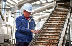 林下产粮 绿海生“金”——四川摸索打制“丛林