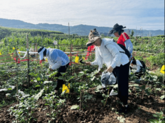 成都龙泉驿黎明社区园艺疗愈心灵之旅感触感染