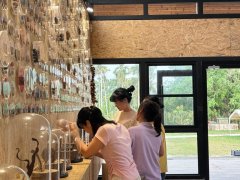 一粒种子若何激活海南村落“绿色经济”