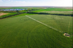 <b>二十四节气看蒙牛丨秋分走进巴彦淖尔蒙牛圣牧</b>