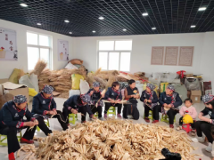 变废为宝：深耕秸秆分析操纵新径