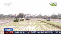 让麦田喝上“伶俐水”、百合种植新手艺……清