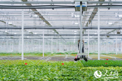 网联中国 科技之笔“慧”春耕