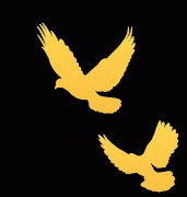 《教育强省扶植规划纲要（2025—2035年）》！