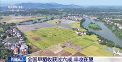 早稻丰收正在望 秋粮长势优良 本年的粮食有保障