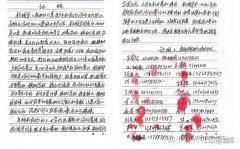 逆“防止耕地非粮化”而行 巴彦淖尔磴口治沙标