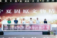 搭建工具文化对话桥梁 书写沪宁文旅合做新篇